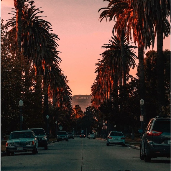 Meet your Posher, Alex G - Picture 1 of 1